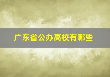 广东省公办高校有哪些