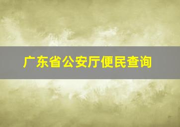 广东省公安厅便民查询