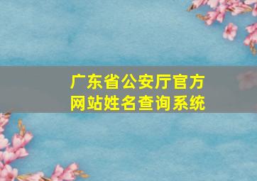 广东省公安厅官方网站姓名查询系统