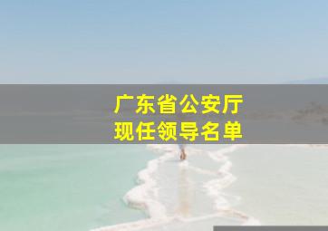 广东省公安厅现任领导名单