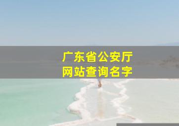 广东省公安厅网站查询名字