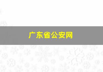 广东省公安网