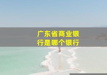 广东省商业银行是哪个银行