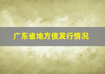 广东省地方债发行情况