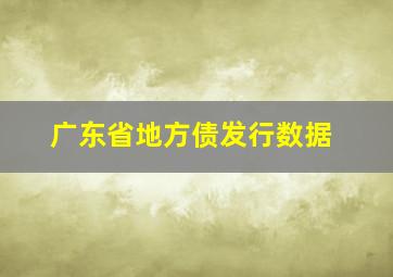 广东省地方债发行数据