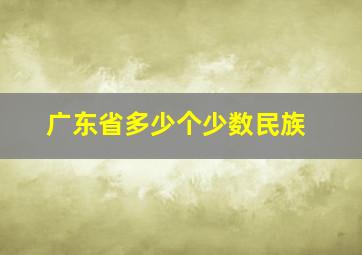 广东省多少个少数民族