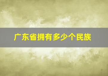 广东省拥有多少个民族