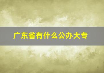 广东省有什么公办大专