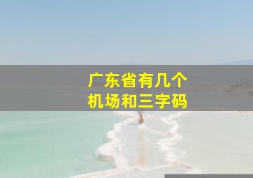 广东省有几个机场和三字码