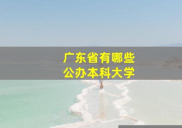 广东省有哪些公办本科大学