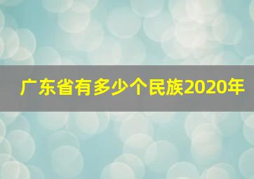 广东省有多少个民族2020年