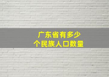 广东省有多少个民族人口数量