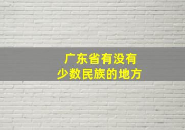 广东省有没有少数民族的地方