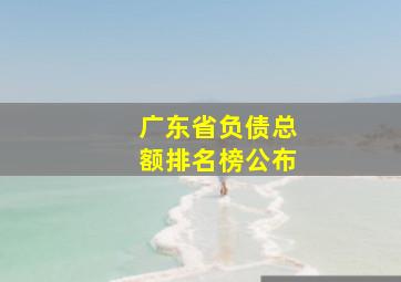 广东省负债总额排名榜公布