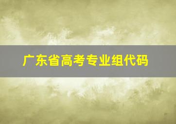 广东省高考专业组代码