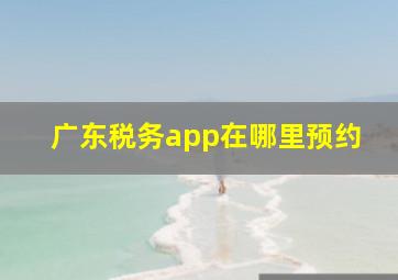 广东税务app在哪里预约