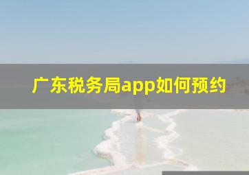 广东税务局app如何预约