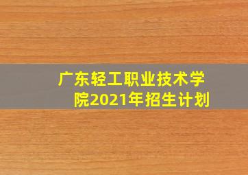 广东轻工职业技术学院2021年招生计划