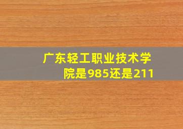 广东轻工职业技术学院是985还是211