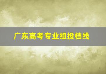 广东高考专业组投档线