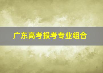 广东高考报考专业组合