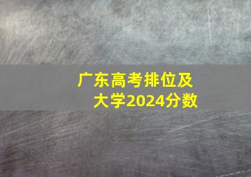 广东高考排位及大学2024分数