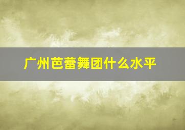 广州芭蕾舞团什么水平