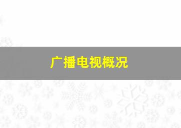 广播电视概况