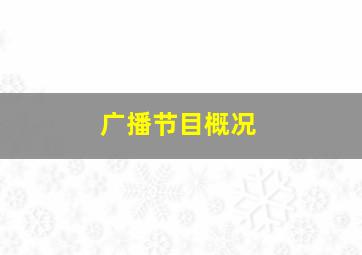 广播节目概况