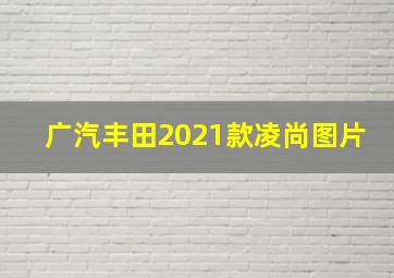 广汽丰田2021款凌尚图片