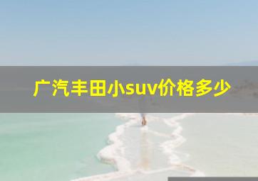 广汽丰田小suv价格多少