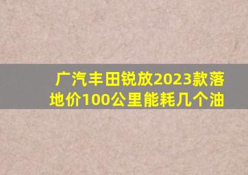 广汽丰田锐放2023款落地价100公里能耗几个油