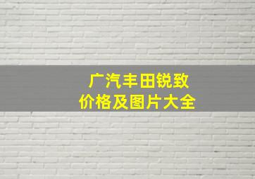 广汽丰田锐致价格及图片大全