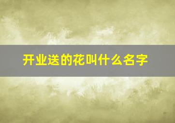 开业送的花叫什么名字