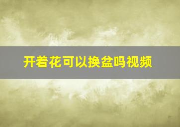 开着花可以换盆吗视频