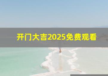 开门大吉2025免费观看