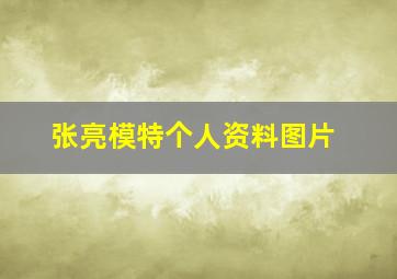 张亮模特个人资料图片