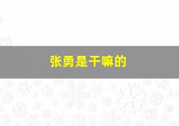 张勇是干嘛的