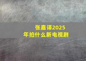 张嘉译2025年拍什么新电视剧