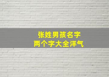 张姓男孩名字两个字大全洋气