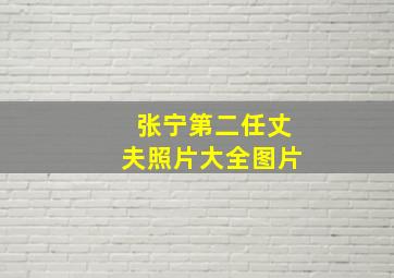 张宁第二任丈夫照片大全图片