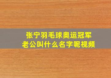 张宁羽毛球奥运冠军老公叫什么名字呢视频