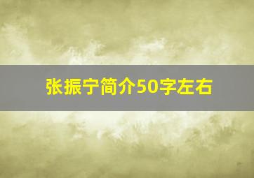 张振宁简介50字左右