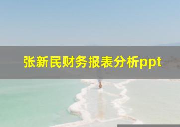 张新民财务报表分析ppt