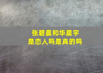 张碧晨和华晨宇是恋人吗是真的吗