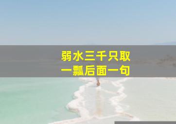 弱水三千只取一瓢后面一句