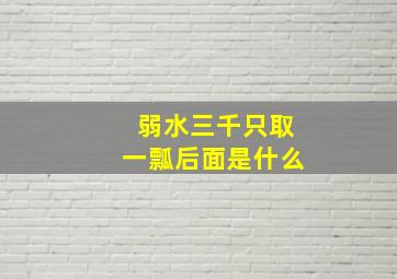 弱水三千只取一瓢后面是什么