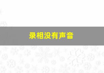 录相没有声音