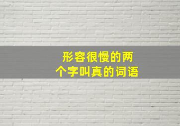 形容很慢的两个字叫真的词语