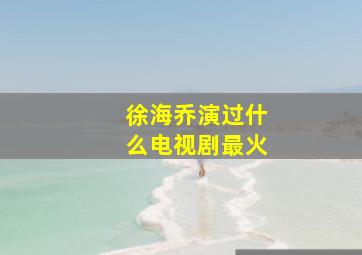 徐海乔演过什么电视剧最火